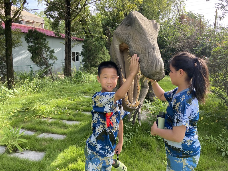 湖北正念夏令营：女孩适合参加军事夏令营吗？