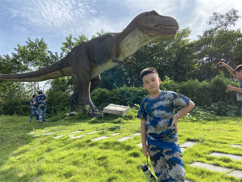 湖北正念夏令营:暑假夏令营的这些特色课程你都记住了吗?