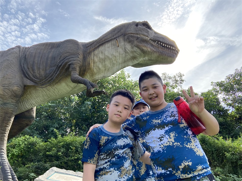 湖北正念夏令营：训练营活动需要注意什么？怎么选择机构