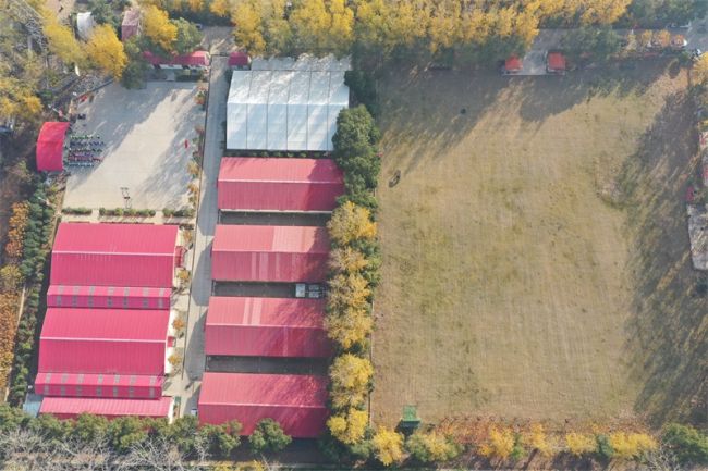 湖北正念夏令营：为什么要让孩子参加军事夏令营呢?