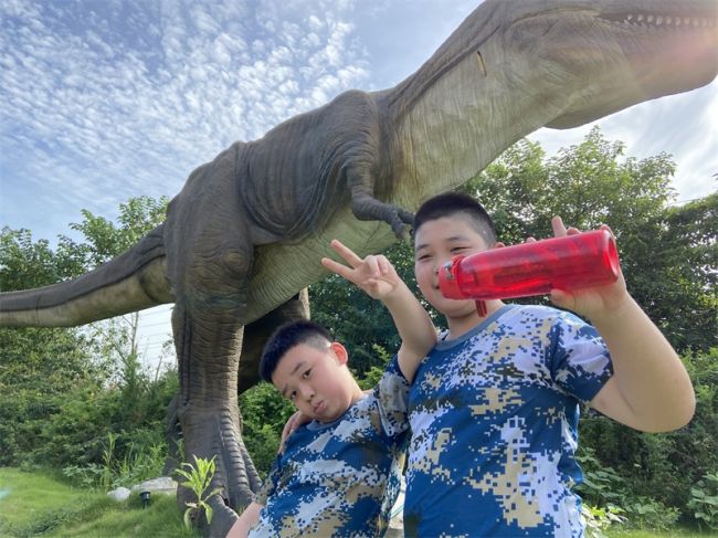 湖北正念夏令营：军事夏令营对于孩子们的意义?