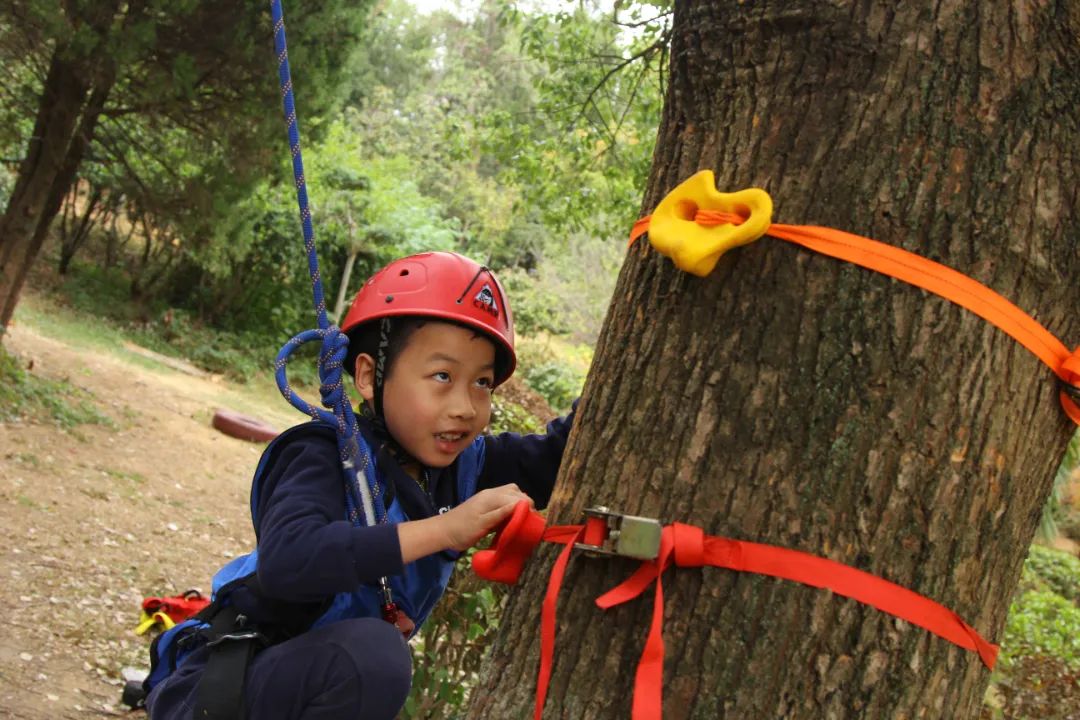费用包含： 装备：CS套装、服装、攀树装备； 场地：活动所涉及的场地费用； 师资：中国登山协会持证教练； 餐饮：营养午餐（盒饭、水果、酸奶）； 药品：常备外伤药、口罩、酒精等； 摄影：专业摄影记录活动； 保险：高额户外保险。 费用不含： ① 发票费用； ② 个人所产生的所有消费； ③ 因个人原因滞留产生的一切费用。 